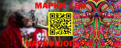 шишки Свободный
