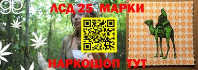 шишки Свободный