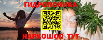 шишки Свободный