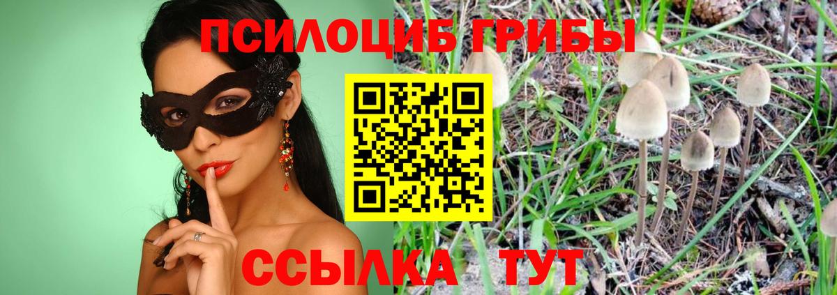 Рубцовск  Псилоцибиновые грибы GOLDEN TEACHER  где продают наркотики  Вход с VPN 